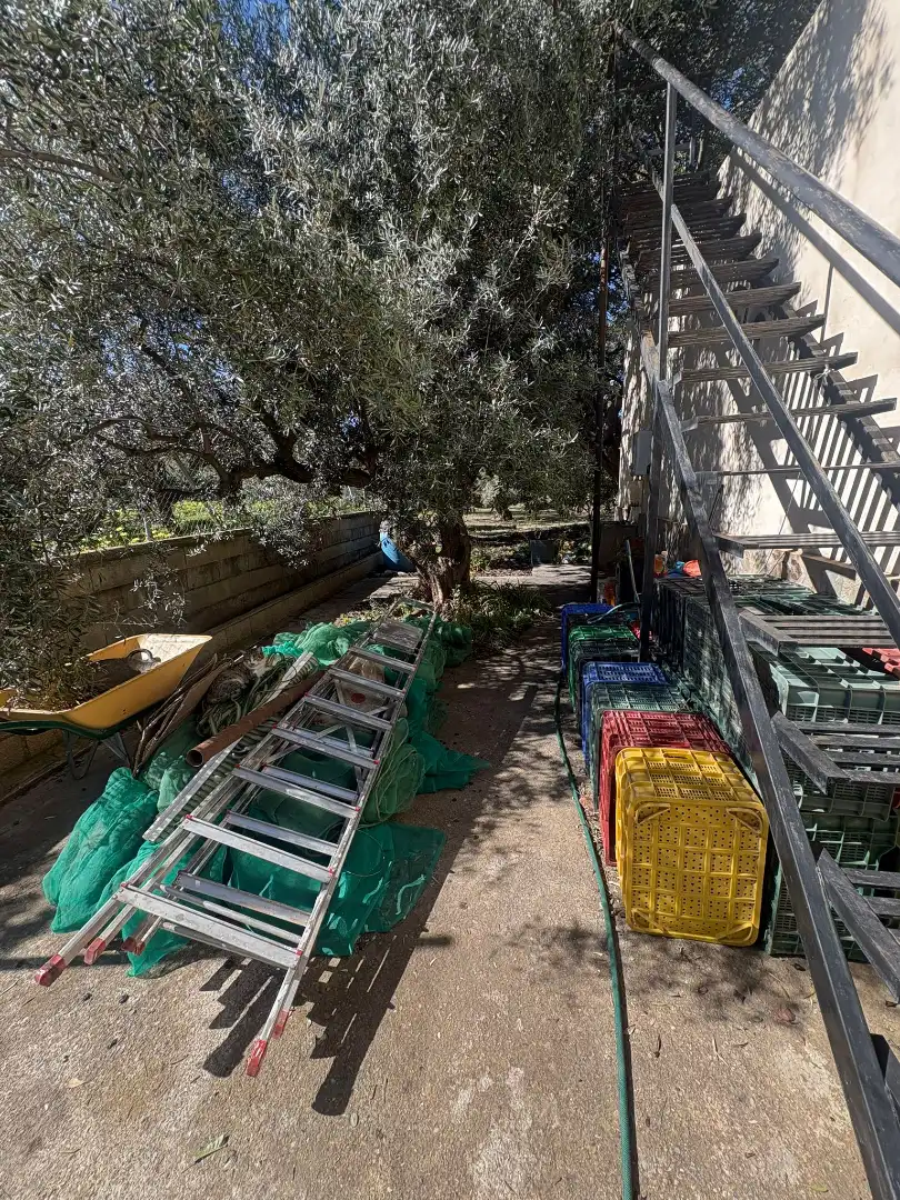 Jardí de Finca rústica en venda en Canjáyar