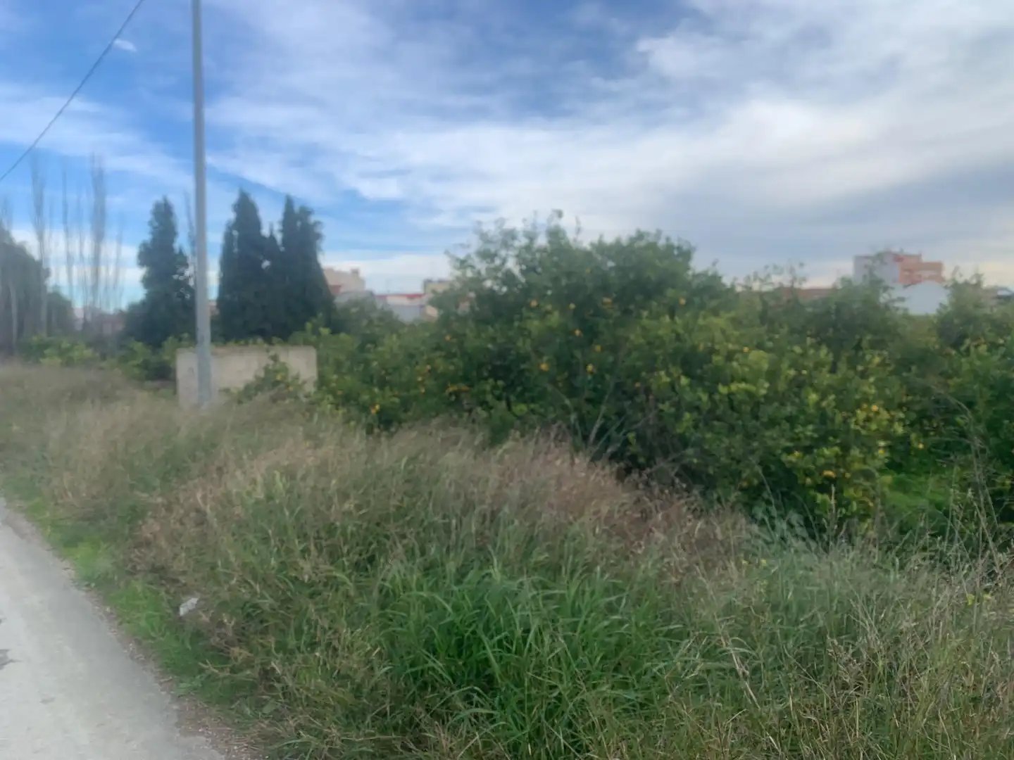 Terrenys i solars en venda a Pedanías Este, imagen 11
