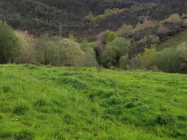 Terreno residenziale in vendita a Oruña - Barrio La Venera