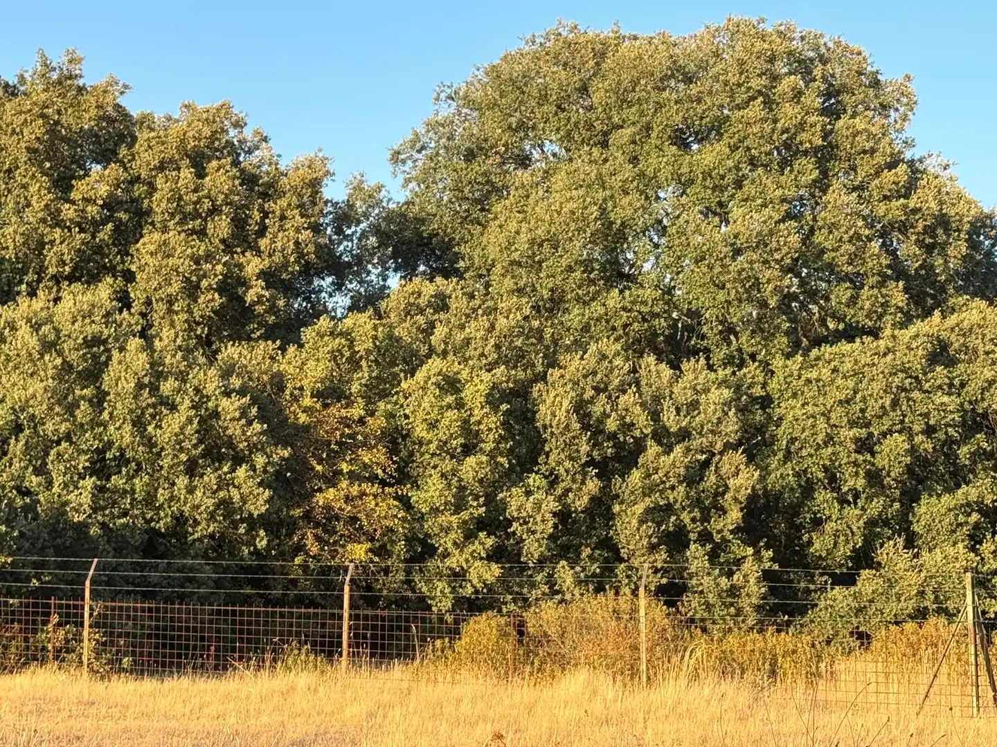 Terreno en venta en La Orbada 