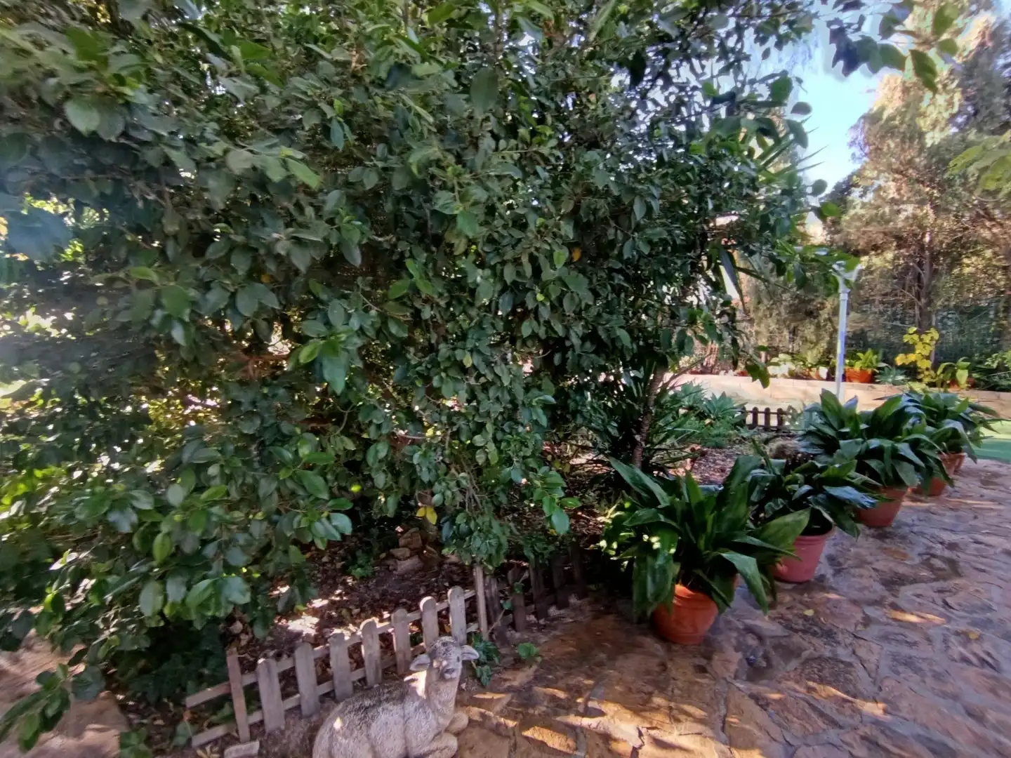Garden of Houses for sale in Molina de Segura  with Air Conditioner, Heating and Private garden