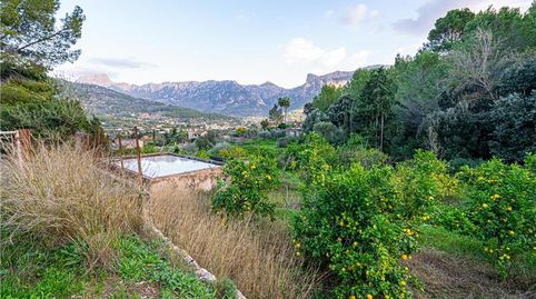 Suelo rústico en Sóller,, immagine 3