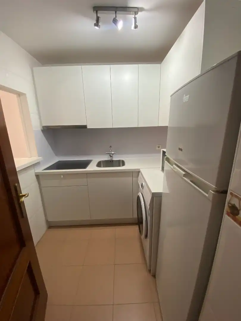Kitchen of Apartments for rent in Málaga  with Air Conditioner, Terrace and Furnished