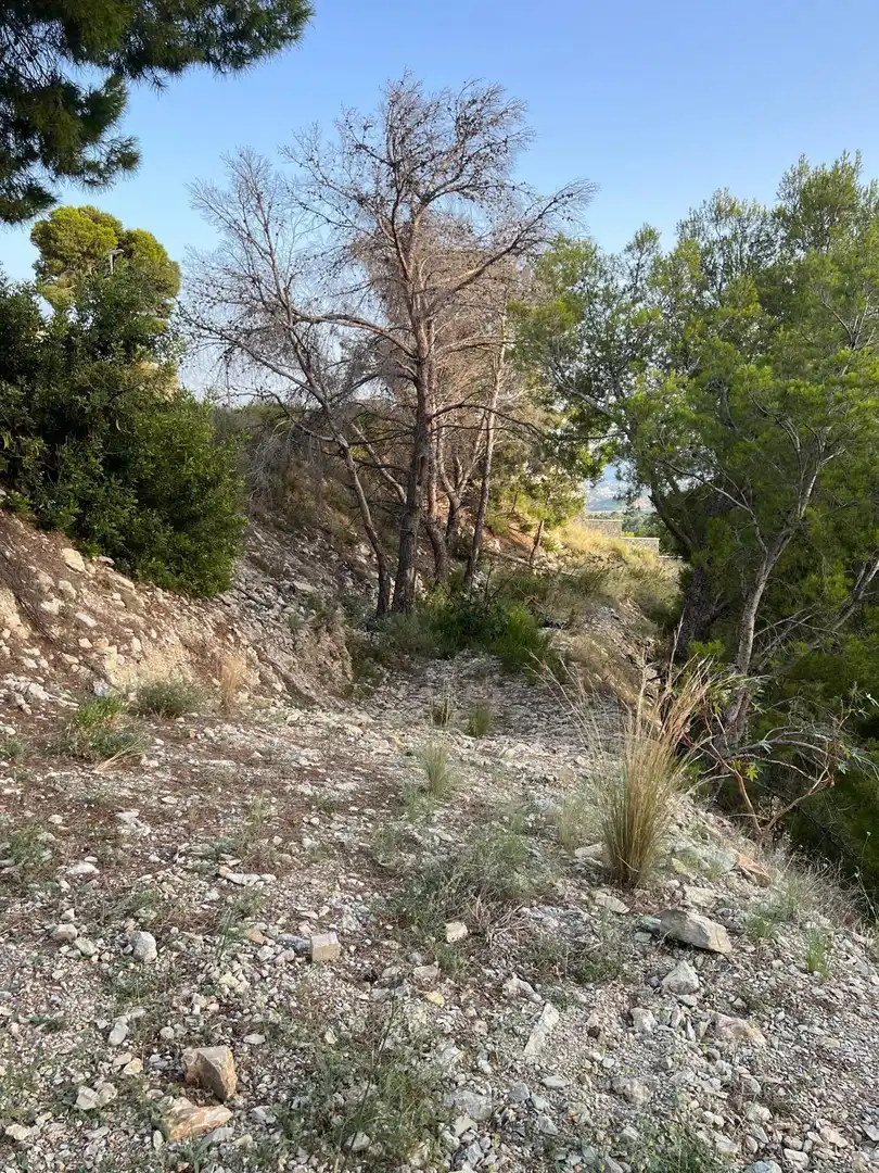 Terrenys i solars en venda a Altea la Vella, imagen 10
