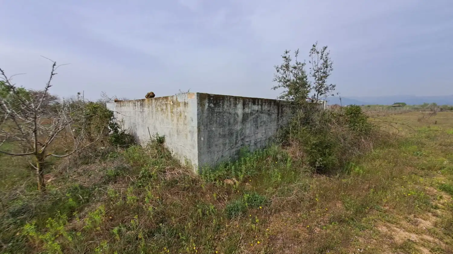Finca rústica en venta en Constantí