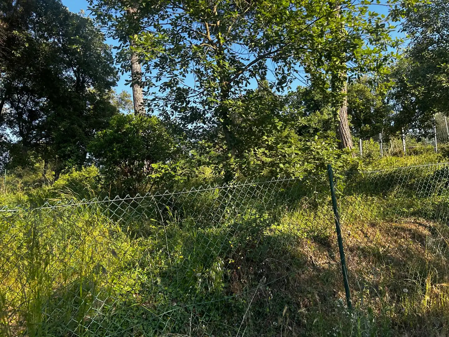 Residential land for sale in Residencial Park, imagen 5