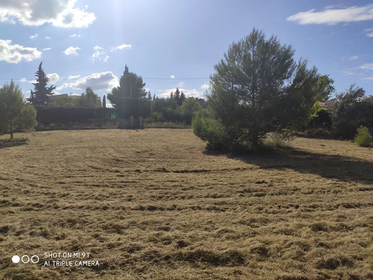 Terreno rustico in vendita a Godelleta