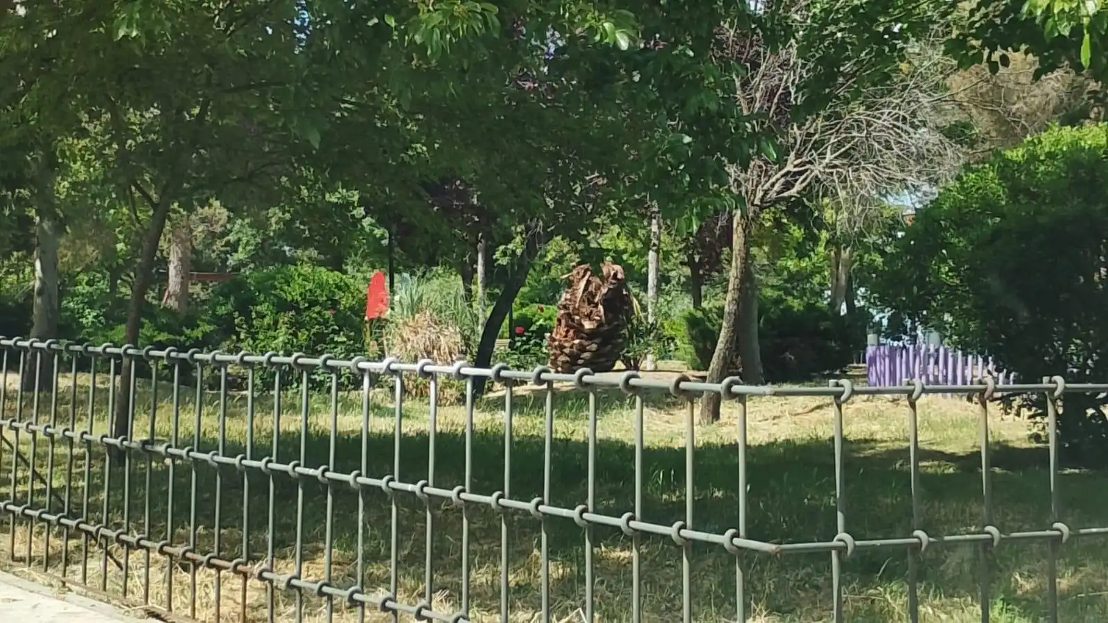 Jardí de Casa adosada en venda en Seseña