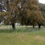 Rural land for sale in Topas, imagen 14