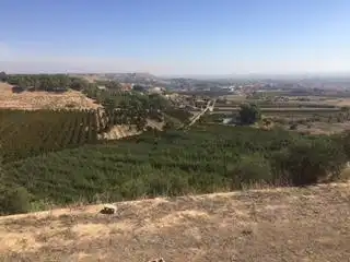 Terreny residencial en venda a Cervantes Saavedra, imagen 3