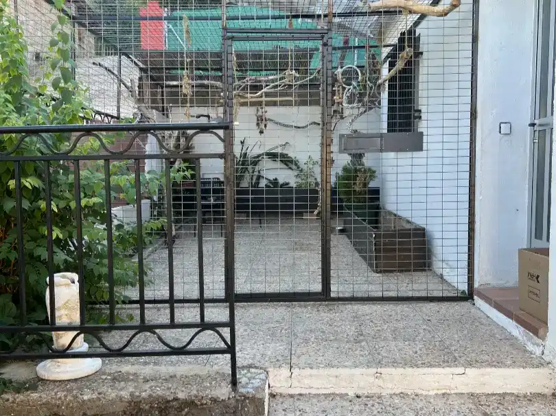Jardí de Casa o xalet en venda en Cogolludo amb Jardí privat i Traster