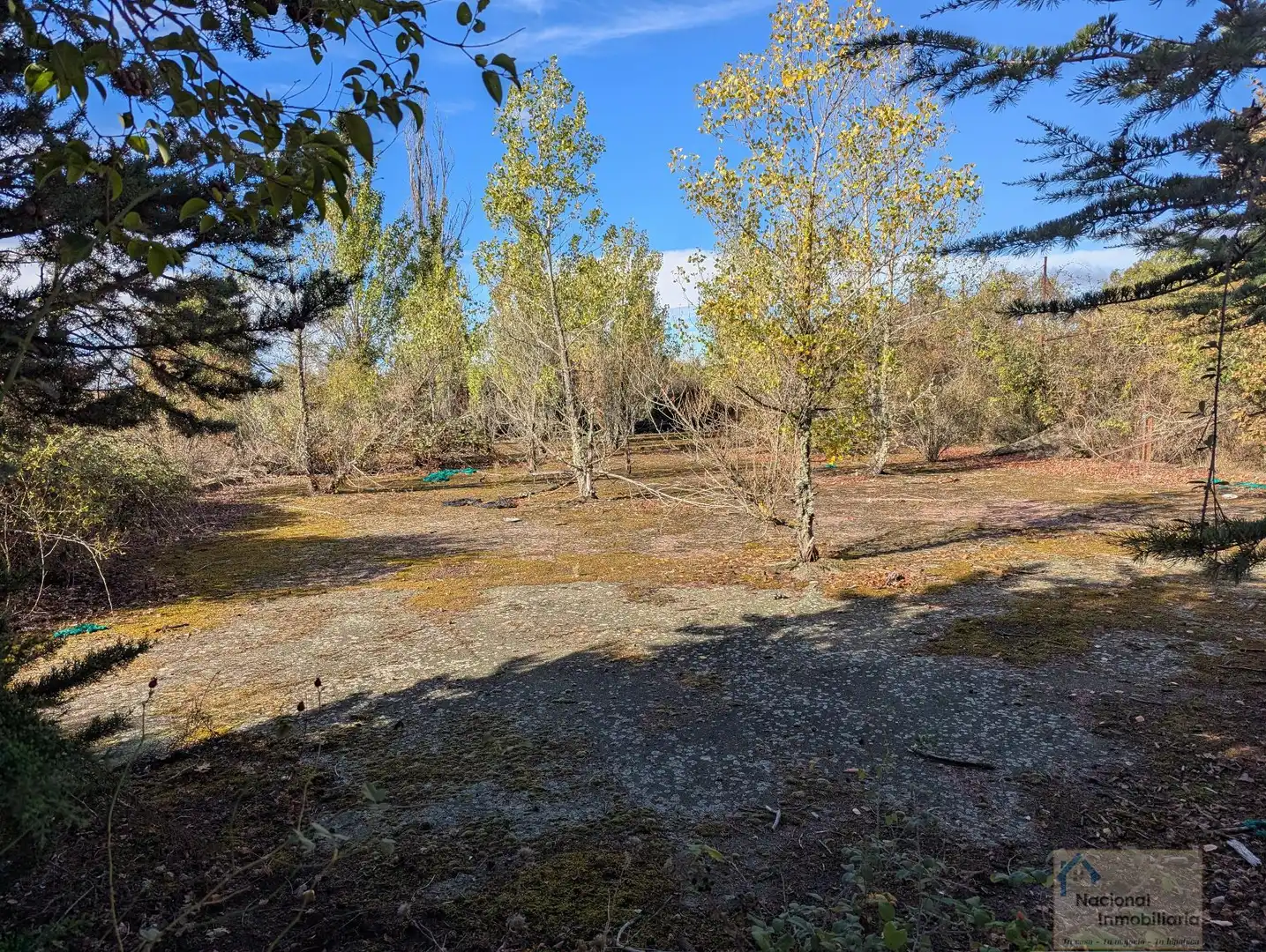 Casa amb piscina en venda a Valverde de la Virgen, imagen 8