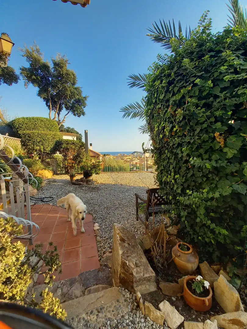 Jardí de Casa o xalet en venda en Sant Feliu de Guíxols amb Jardí privat, Piscina i Moblat