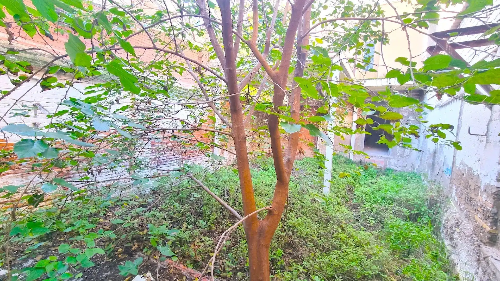 Garten von Haus oder Chalet zum Verkauf in Zaragoza mit Privatgarten und Terrasse
