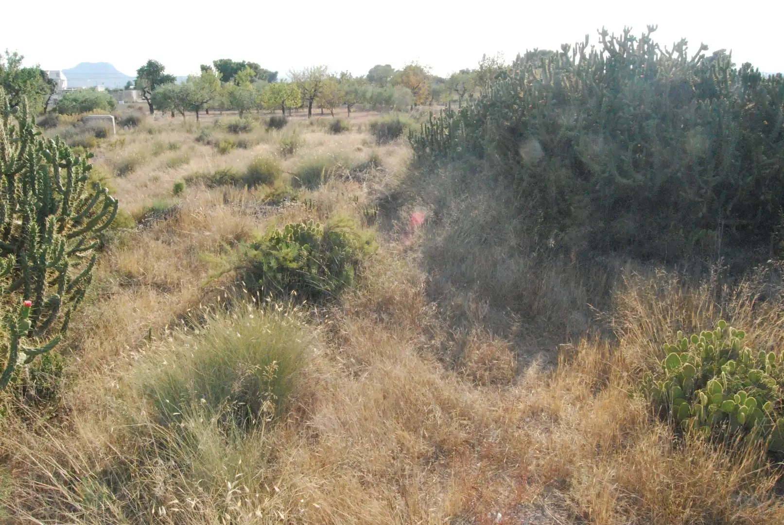Rural land for sale in Villamontes - Boqueres, imagen 4
