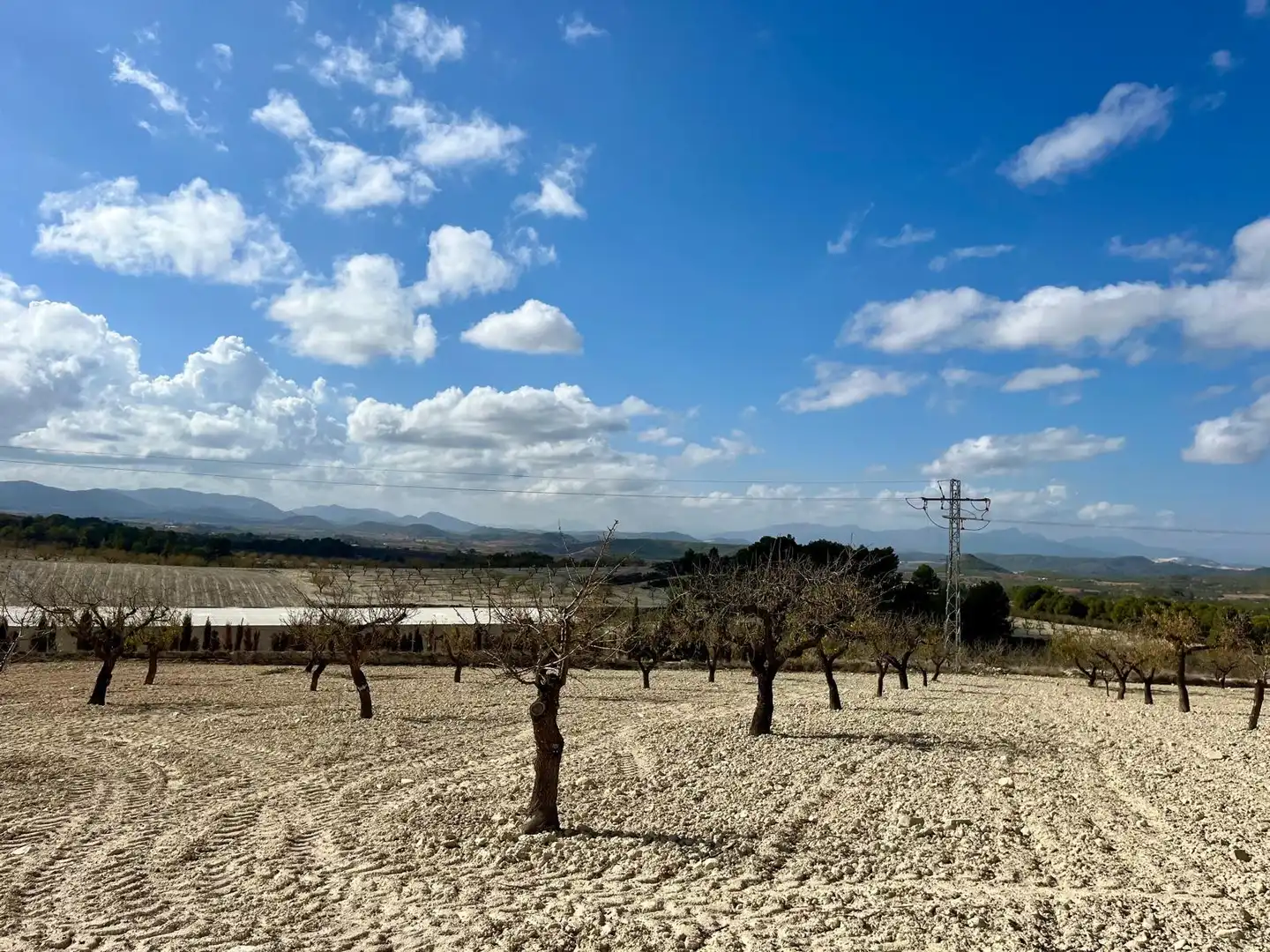 Lands and plots for sale in Bullas, imagen 20