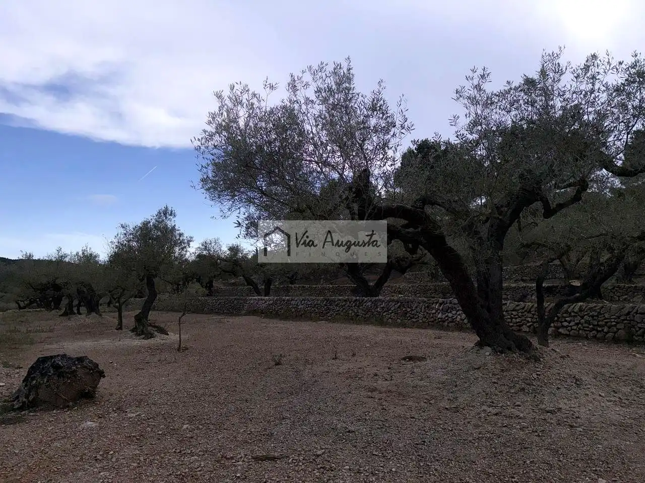 Country homes for sale in Tortosa