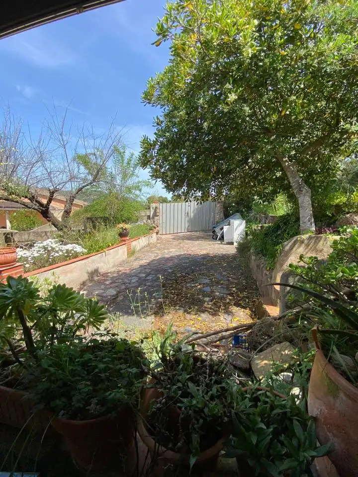 Terrenos y solares en venta en Carrer Vicenç Bou 14, imagen 12