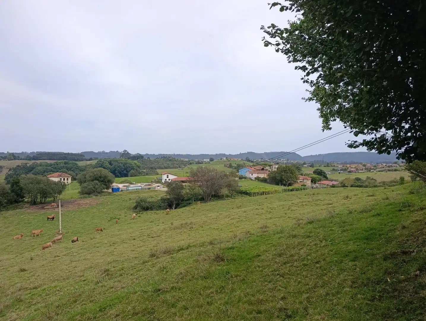 Rustikales Grundstück zum Verkauf in Carretera Piñera (Noriega) 0, imagen 21