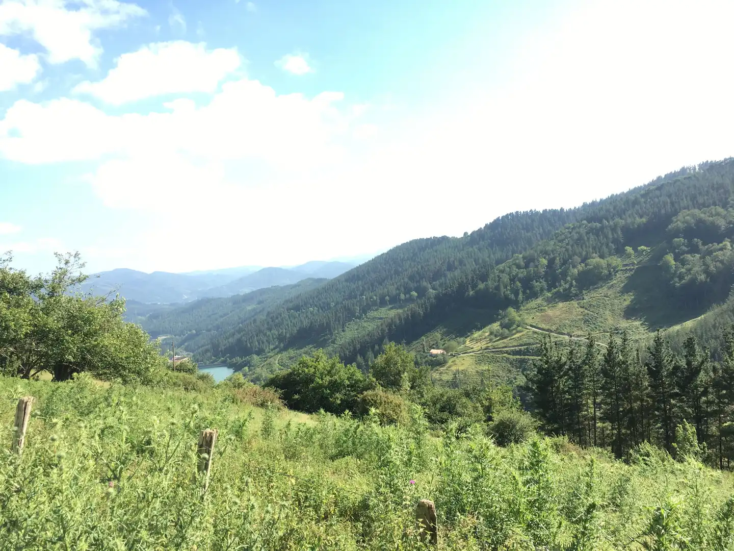 Finca rústica en venta en Beasain