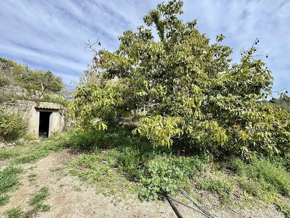 Country homes for sale in Altea la Vella