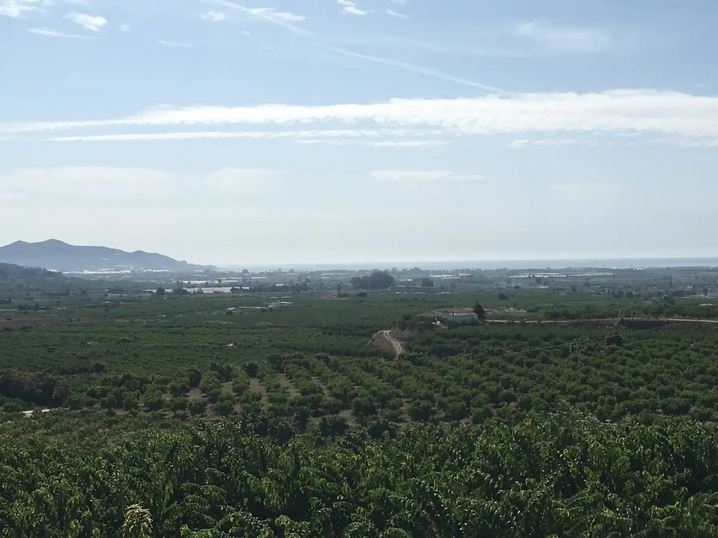 Casa rústica en venda a Monte los Almendros - El Pargo - Costa Aguilera, imagen 35