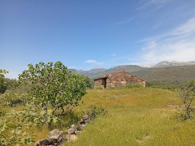 Terreno en Venta en Villanueva de la Vera