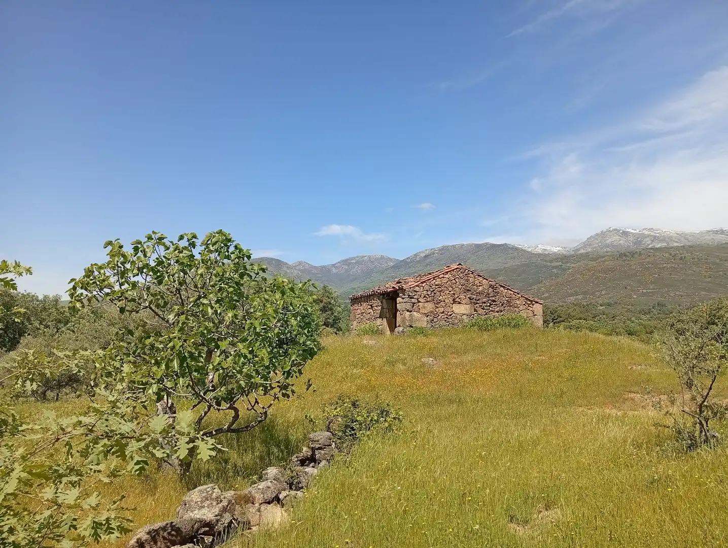 Terreni e lotti in vendita a Villanueva de la Vera