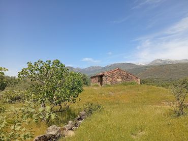 Terreno rustico in vendita a Villanueva de la Vera