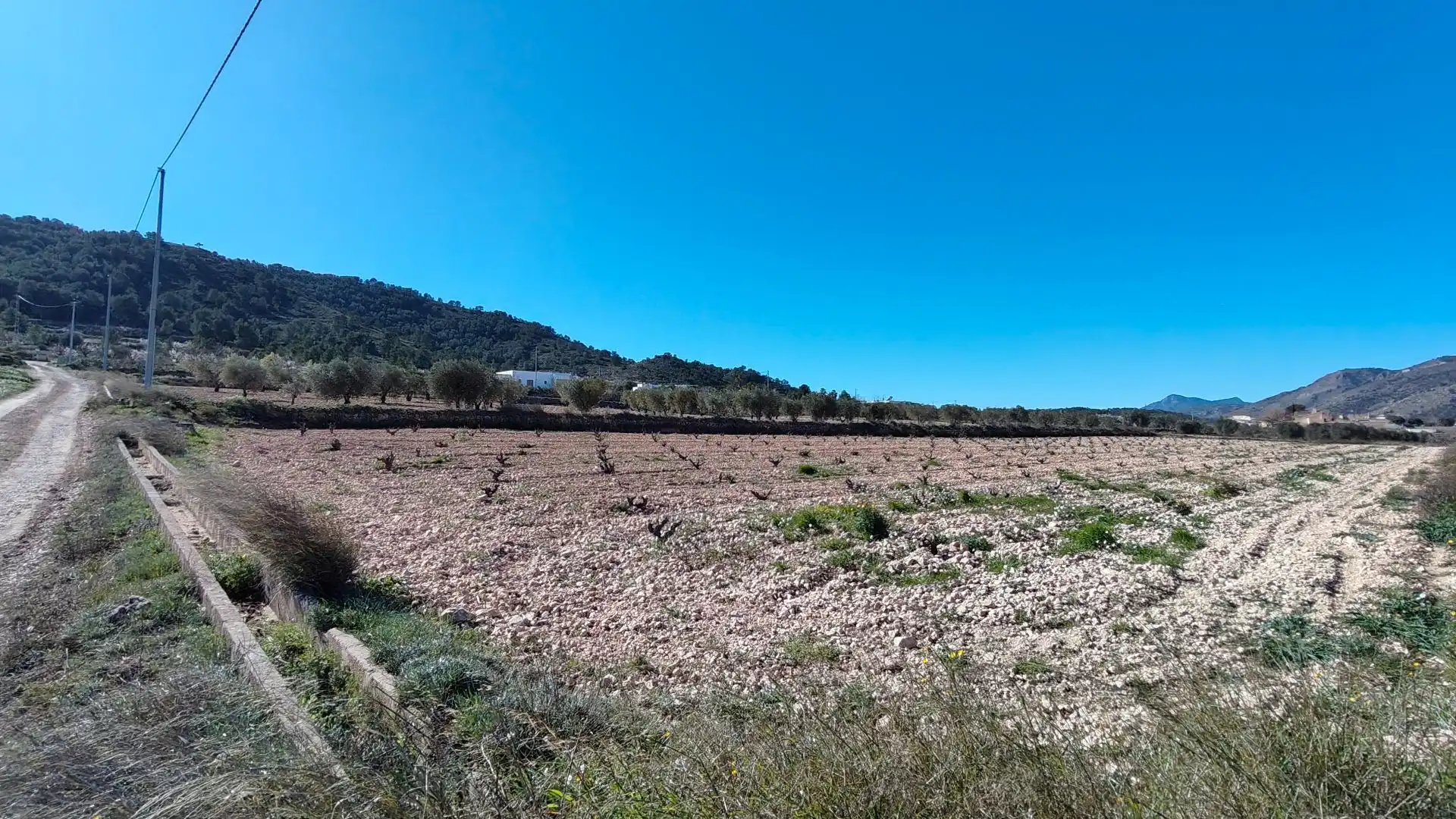 Lands and plots for sale in Abanilla, imagen 6