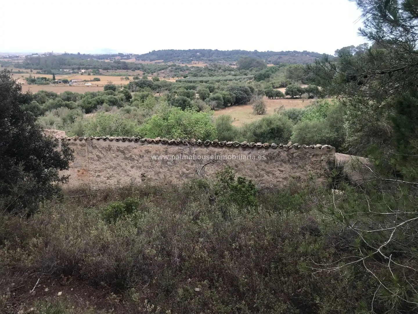 Finca rústica en venta en Maria de la Salut con Calefacción y Terraza