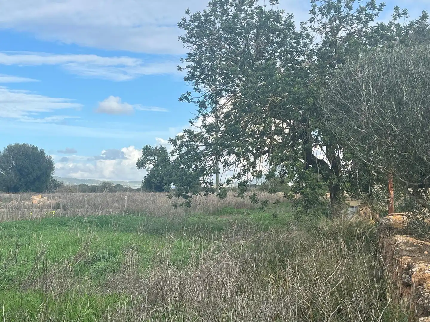 Finca rústica en venta en Llucmajor pueblo