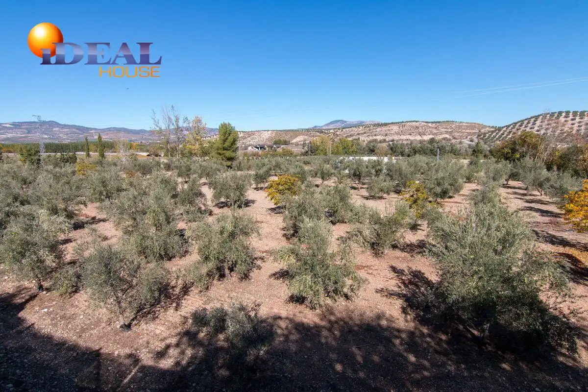 Villa con piscina in vendita a Camino La Caras de Cacín, polígono 5 parcelas 14, 15 y, imagen 41