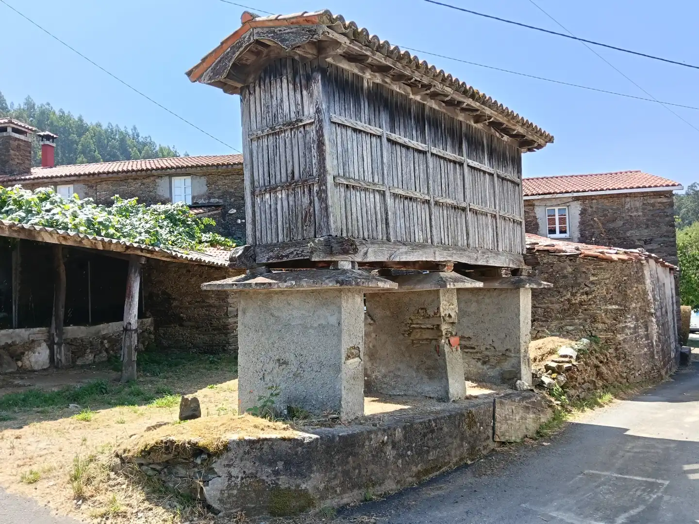 Vista exterior de Casa adosada en venta en Cesuras con Jardín privado y Trastero