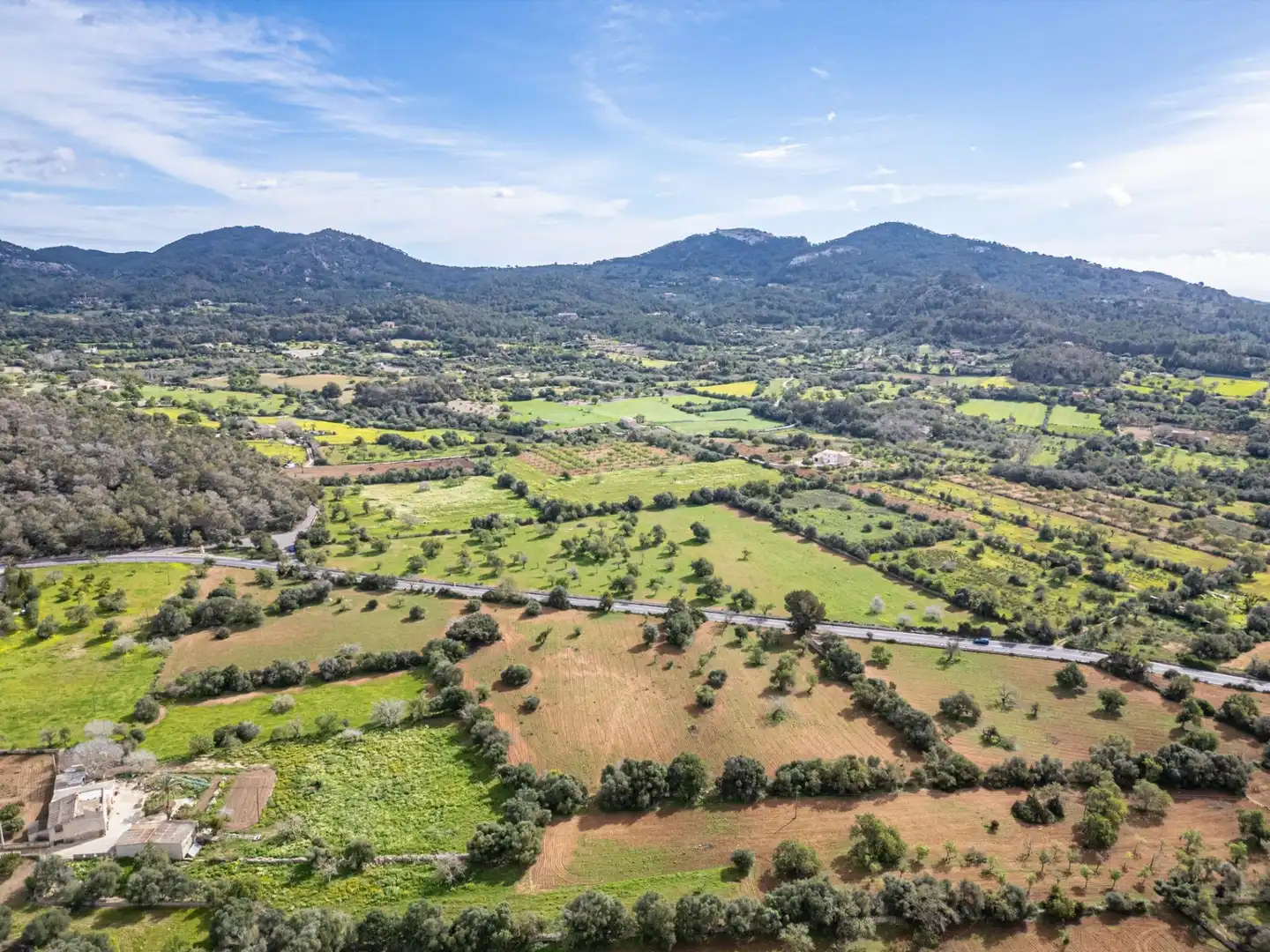 Rural land for sale in Felanitx Poble, imagen 10