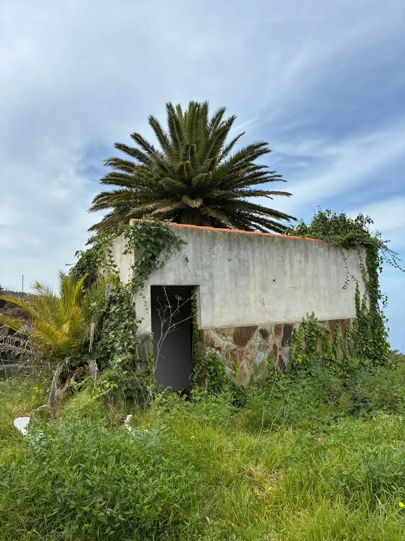 Terreny rústic en venda a El Sauzal