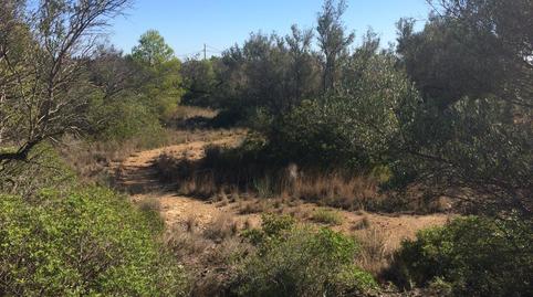 Foto 5 de Residencial en venda a Zona Àliga, El Perelló, Tarragona