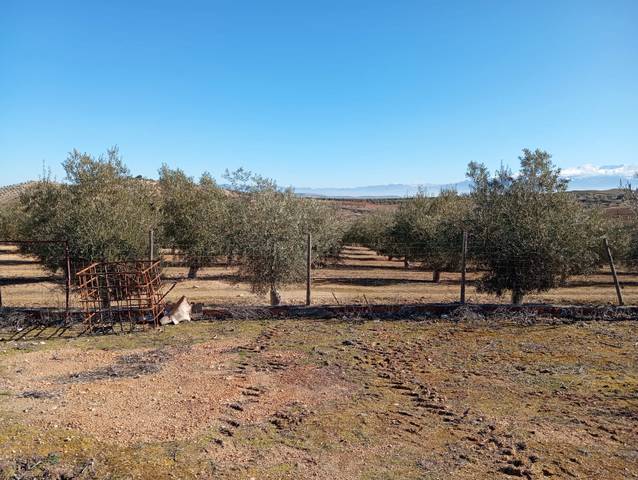 Terreno en Venta en Ventas de Huelma