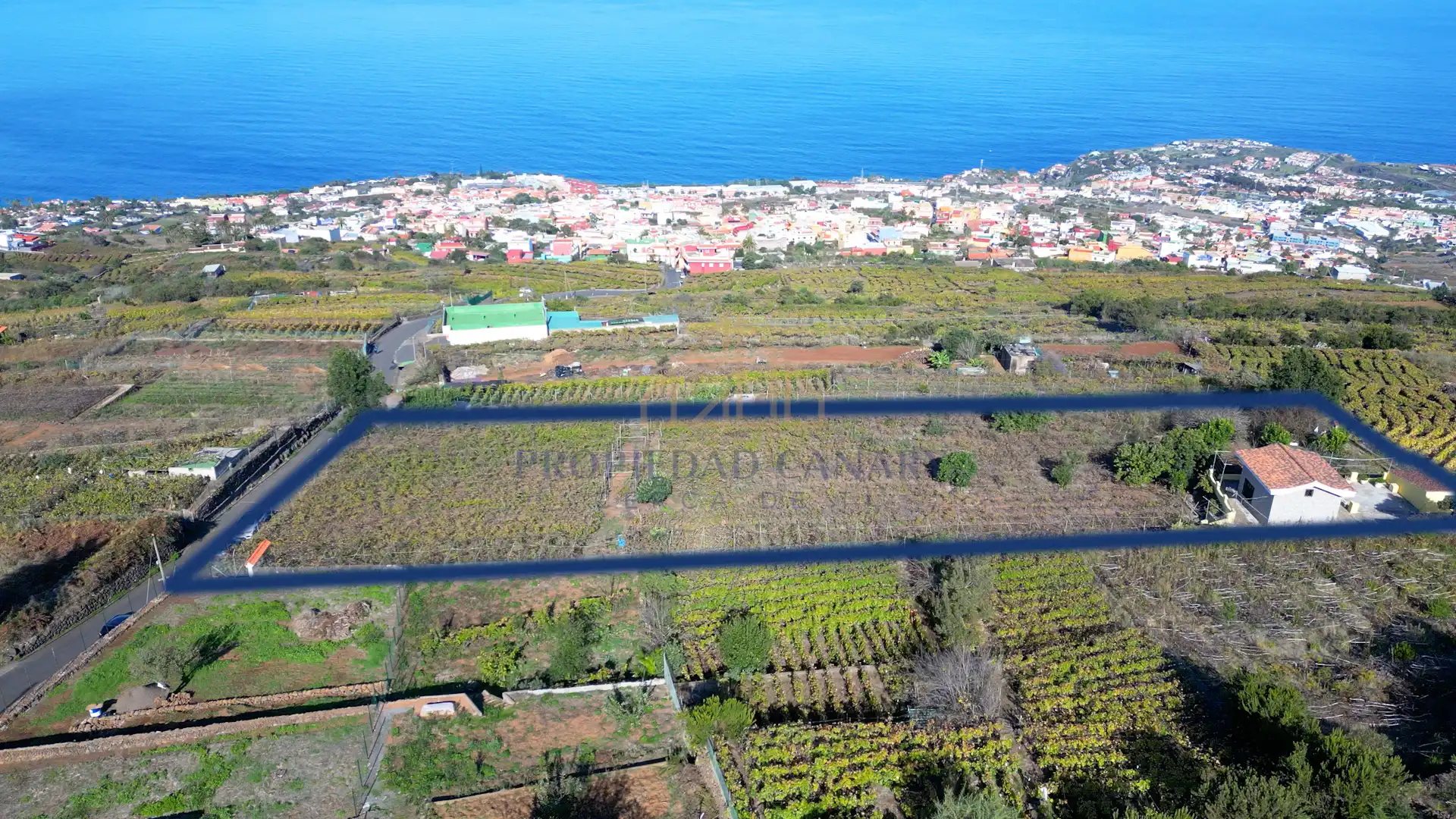 Finca rústica en venda en Santa Úrsula amb Terrassa