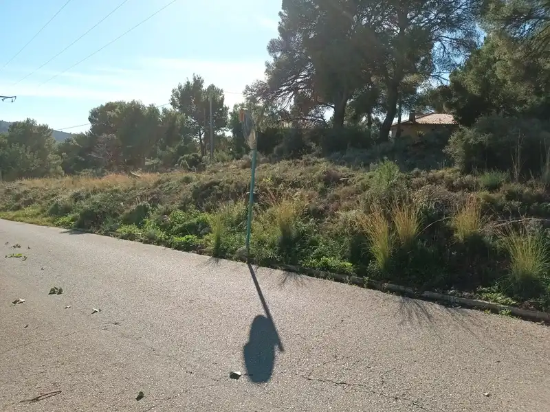 Wohnbaugrundstück zum Verkauf in Poligono 36, imagen 4