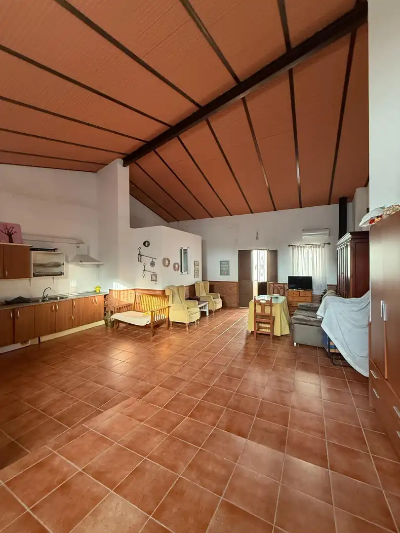 Sala de estar de Casa o chalet en venta en Puebla de Guzmán