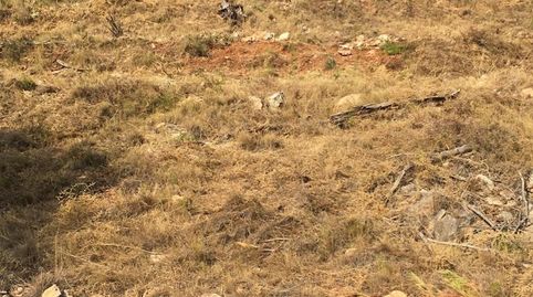 Foto 3 de Terreno en venta en Carrer de la Tauleta, 3, Oliva pueblo, Oliva