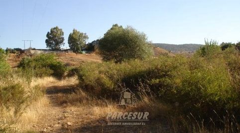 SUELO URBANO DE 36.000 M2 EN LOS ENCINARES DE ALCOLEA., imatge 4