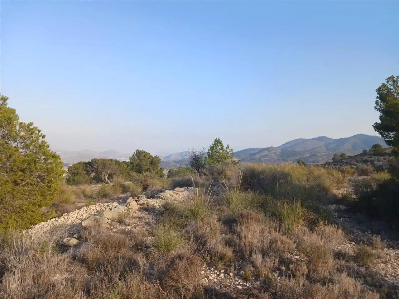 Residential land for sale in Proc. Simplificado, imagen 7
