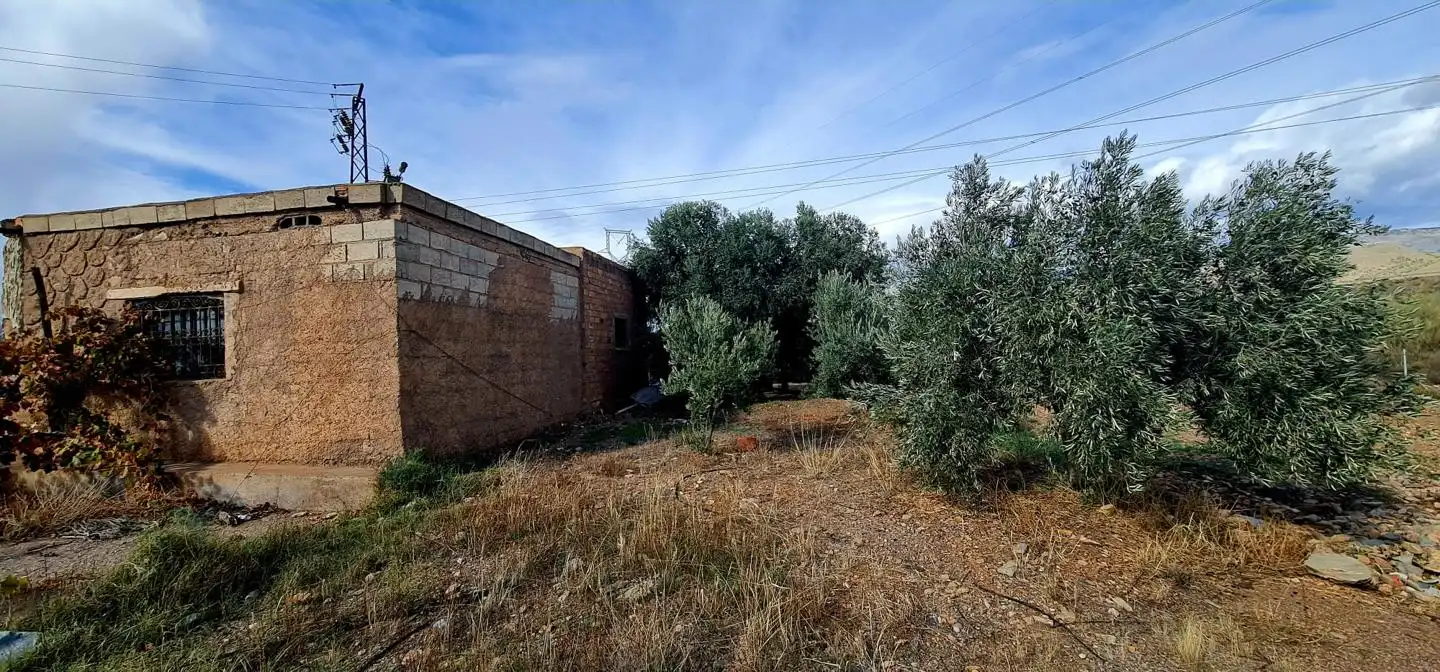 Lands and plots for sale in Campo de Gergal, imagen 4