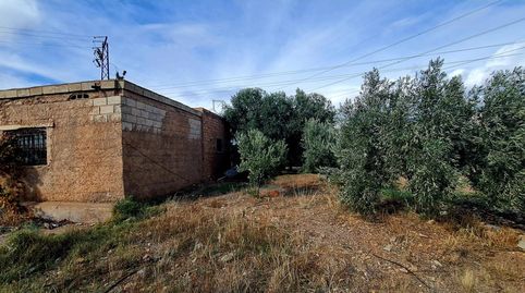 Immagine 4 dell'annuncio