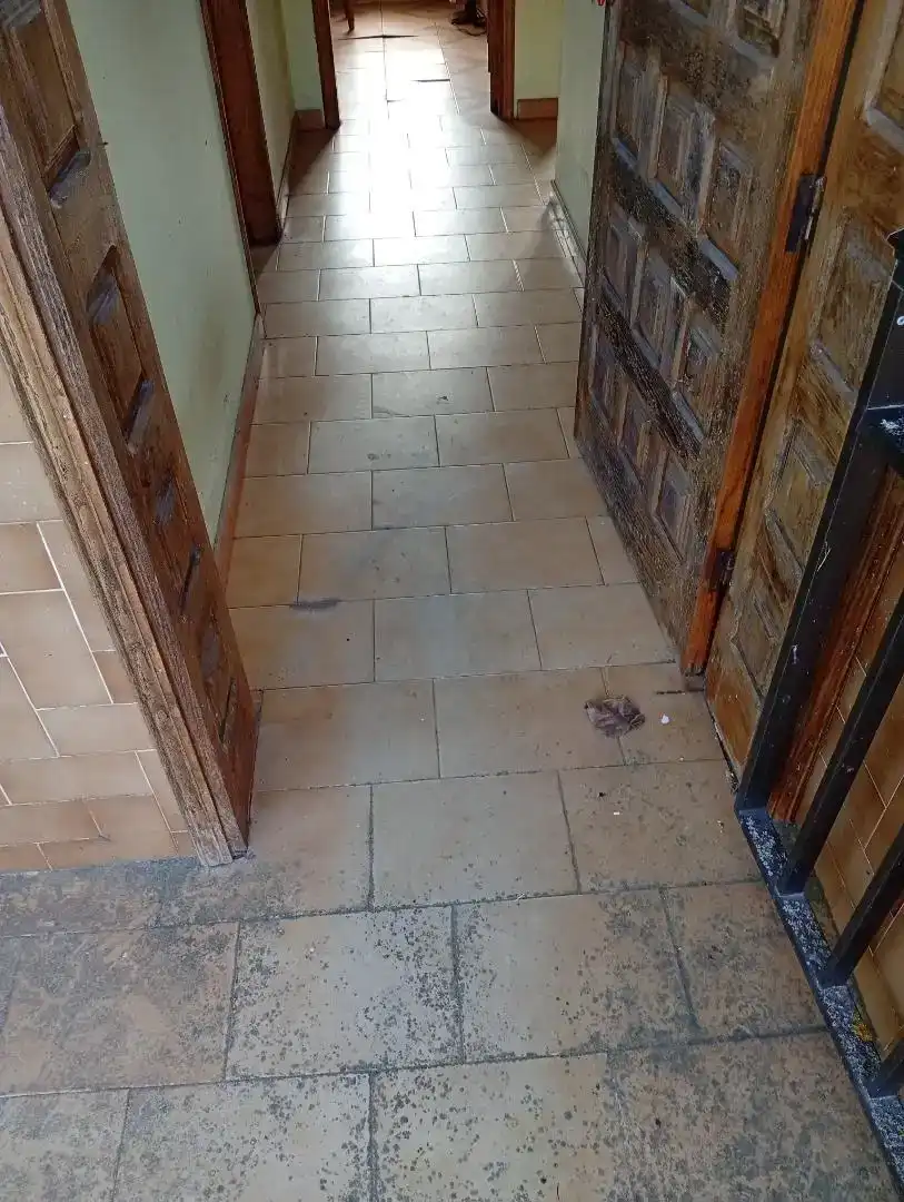 Casa o xalet en venda en Vilardevós amb Balcó