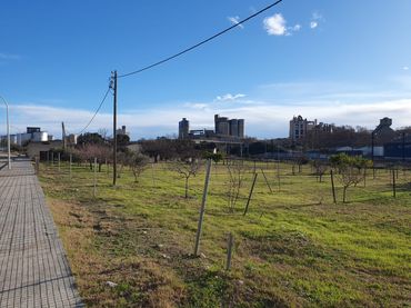 Terreno industriale in vendita a Carrer de l'Abadal 5