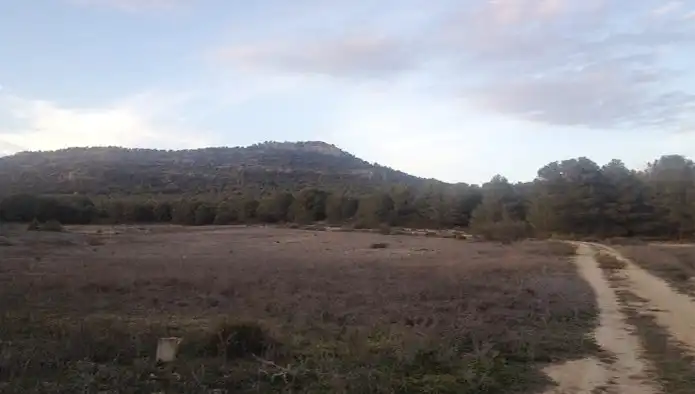 Land for sale in Santiago-Pontones