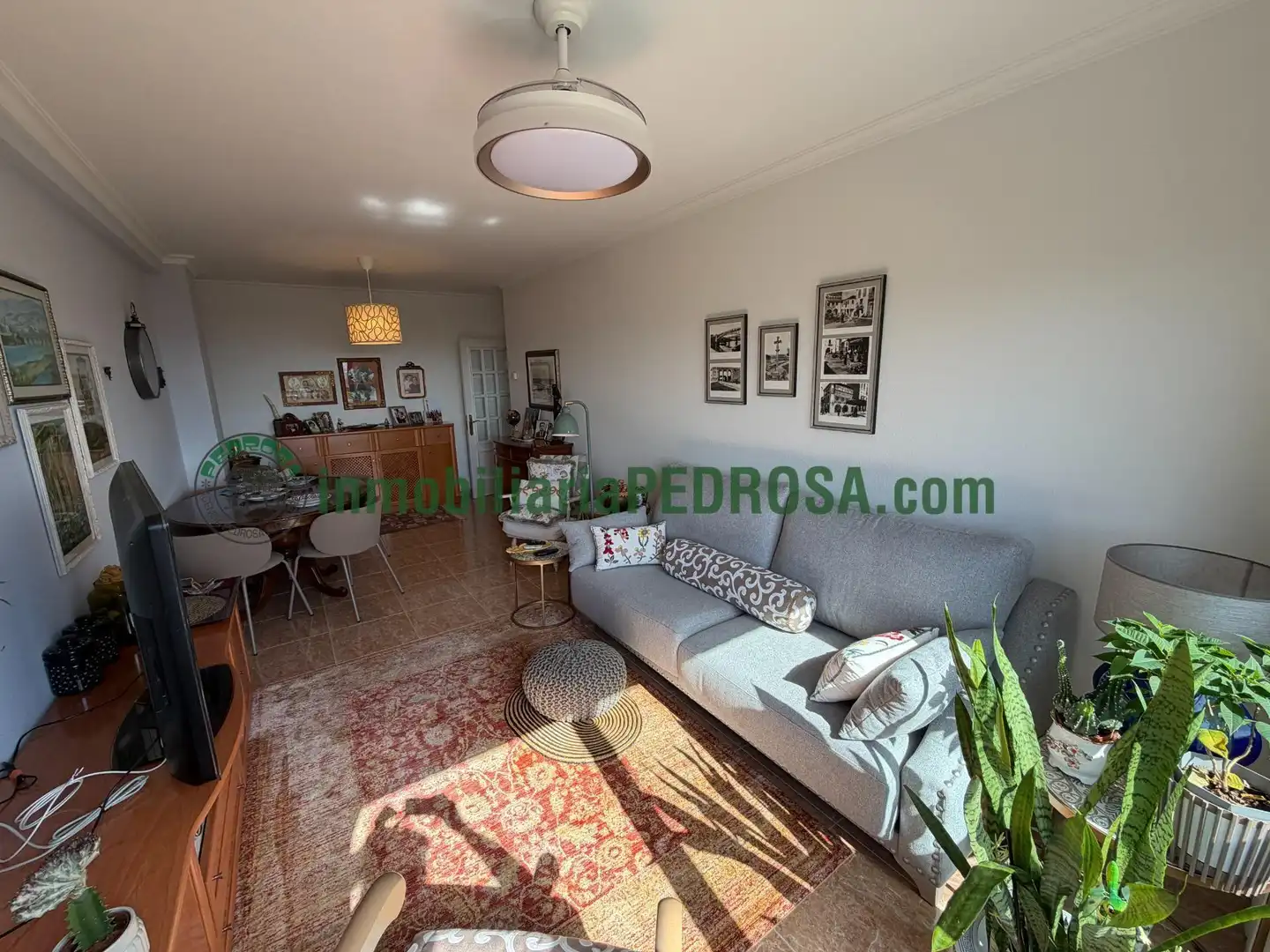 Sala d'estar de Apartament en venda en Pontevedra Capital  amb Calefacció i Traster